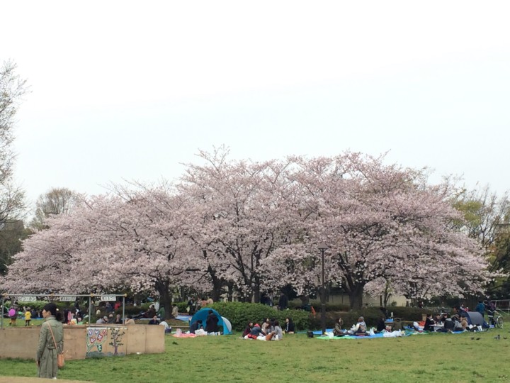 f:id:toshi_suzuki:20160402195955j:image f:id:toshi_suzuki:20160402195955j:image