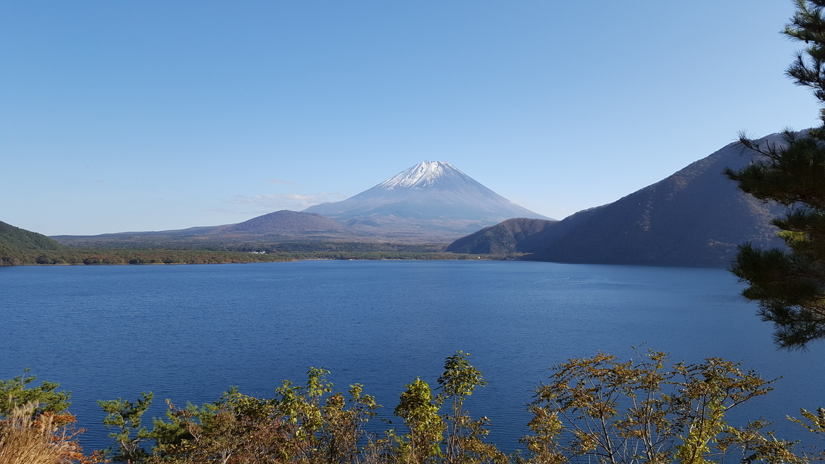 f:id:toshi_xt500:20191114050942j:plain