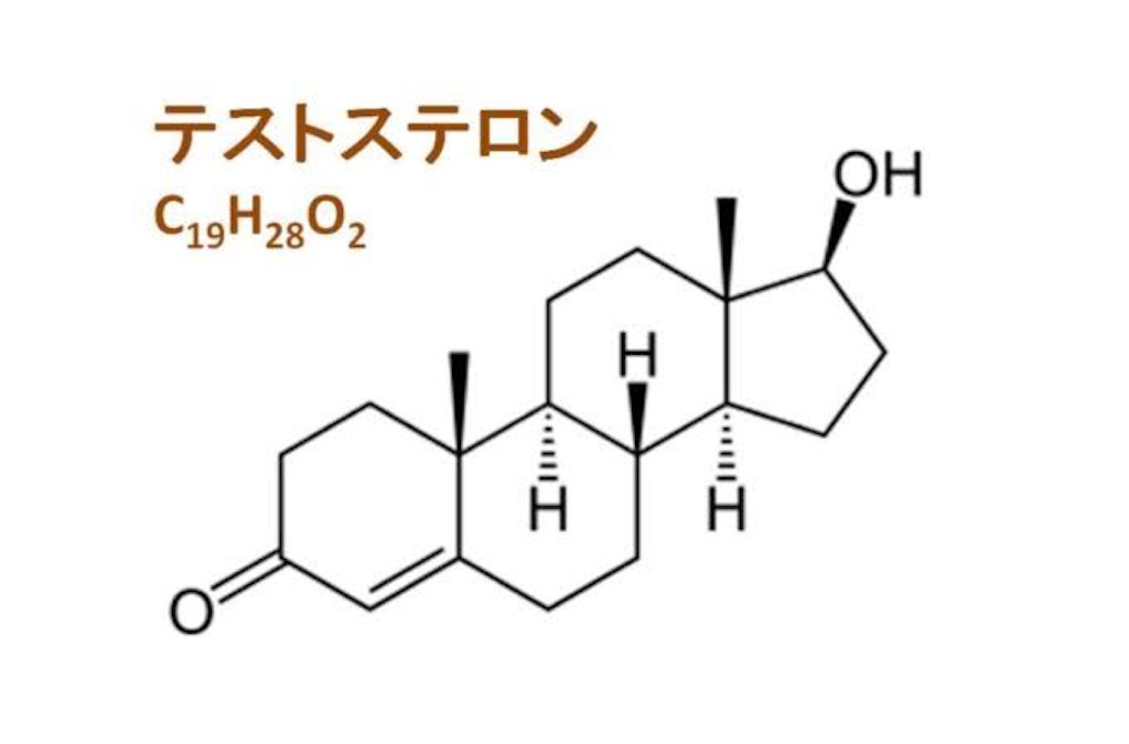 f:id:toshiblogfitness:20201216122015j:image
