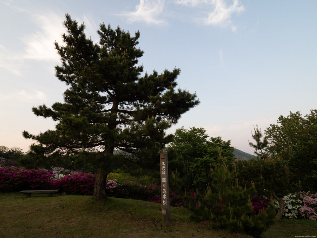 逆光の写真を明るく補正しよう Lightroom Classic Iphone 初心者向け Toshiboo S Camera 逆光の写真を明るく補正しよう Lightroom Classic Iphone 初心者向け Toshiboo S Camera