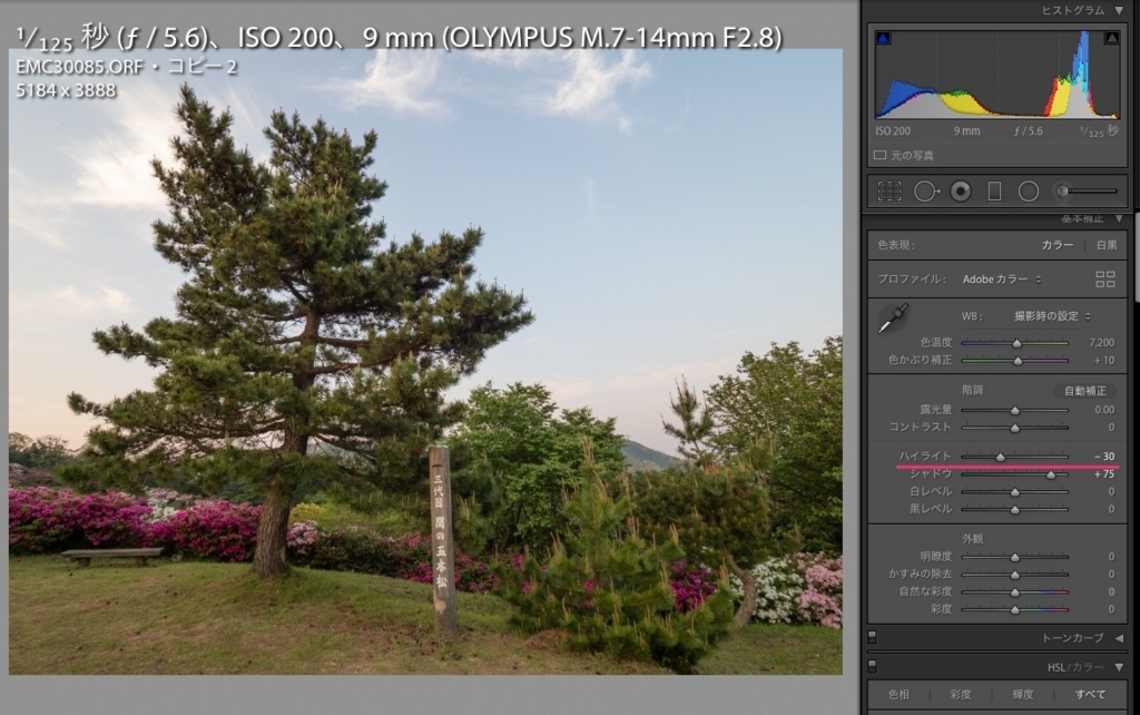 逆光の写真を明るく補正しよう Lightroom Classic Iphone 初心者向け Toshiboo S Camera 逆光の写真を明るく補正しよう Lightroom Classic Iphone 初心者向け Toshiboo S Camera