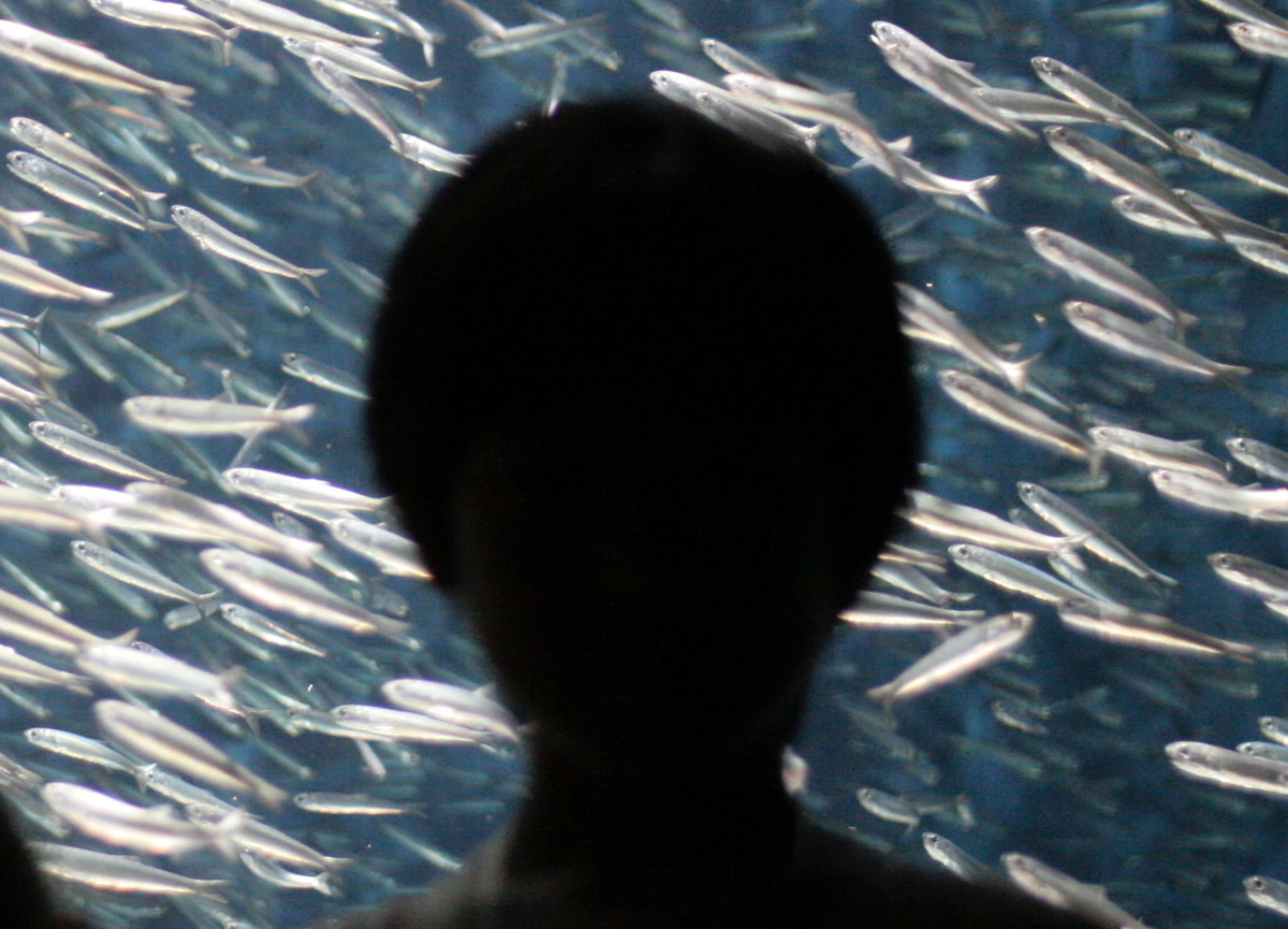 写真不足分 85394◇KSP210/MXPH10/MXPH15/MXPA10/MXPA15 ヤリス