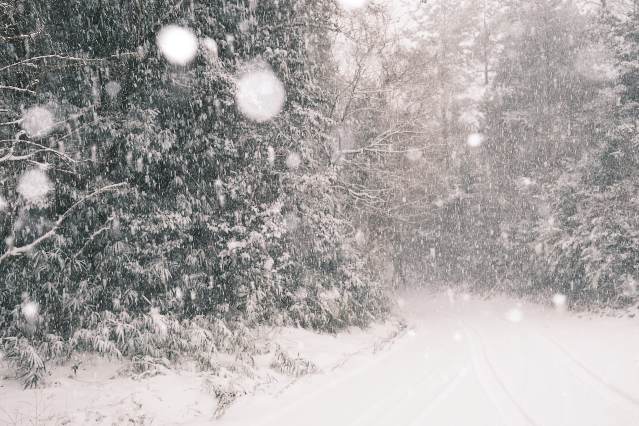 雪道