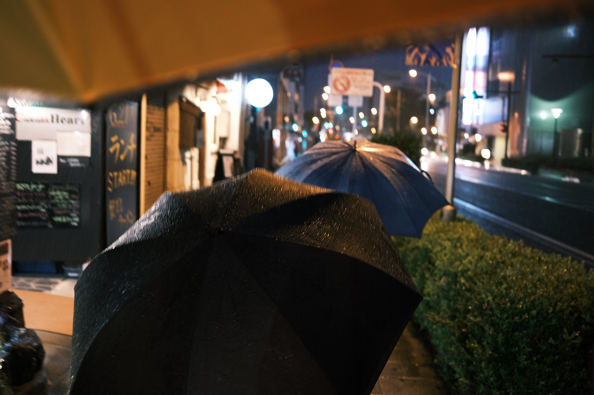 夜スナップ