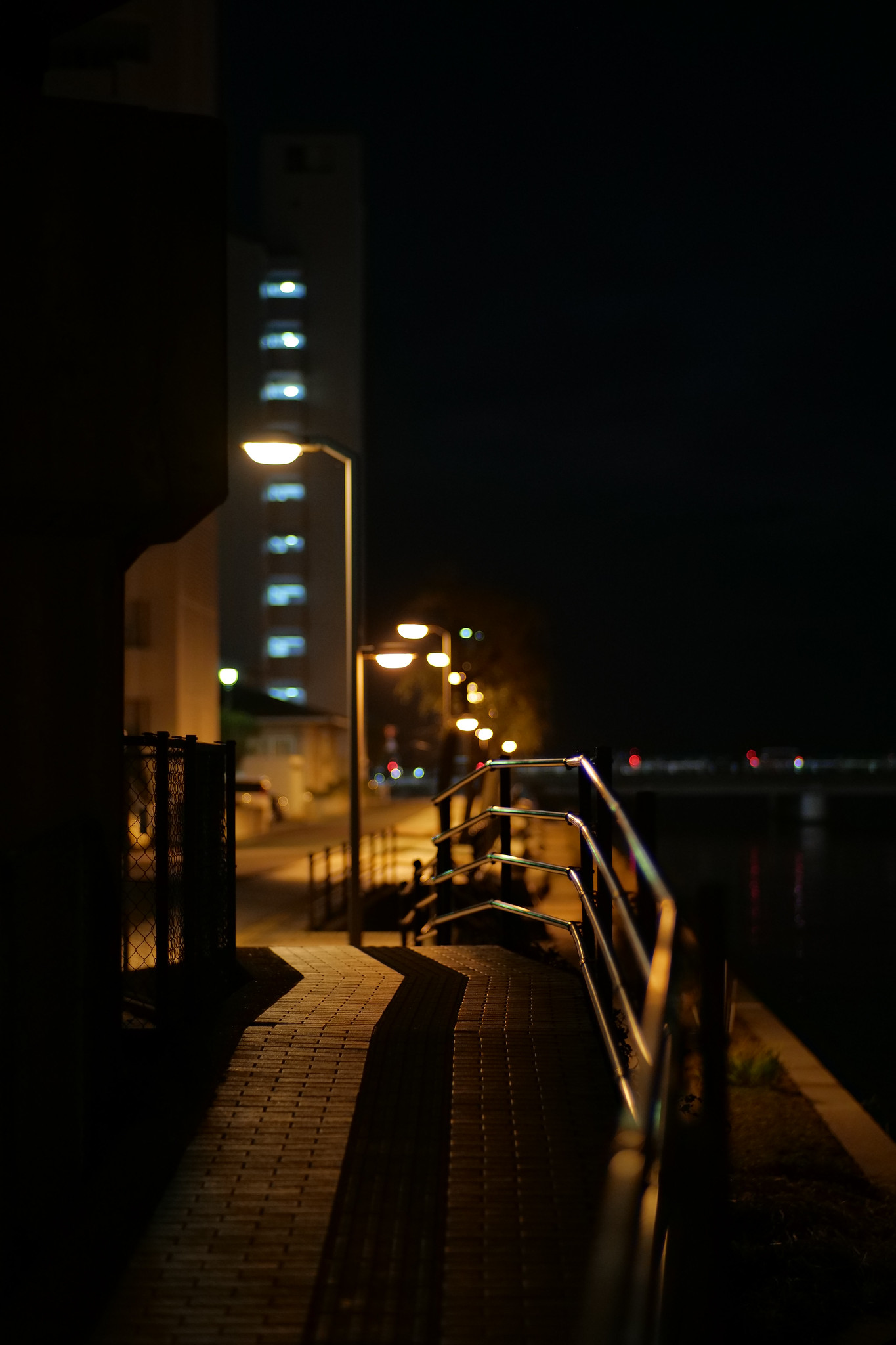 夜スナップ