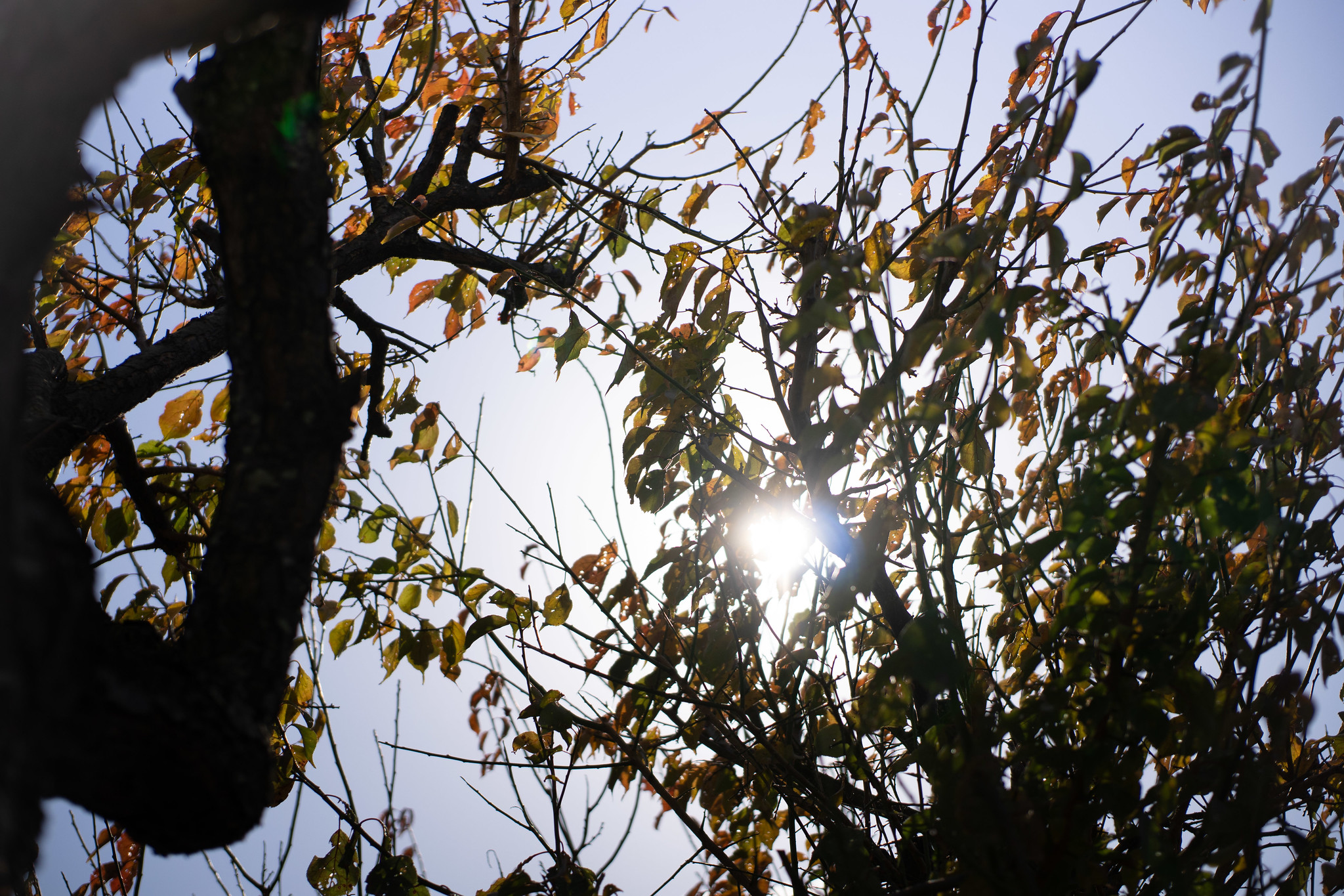 F2.8