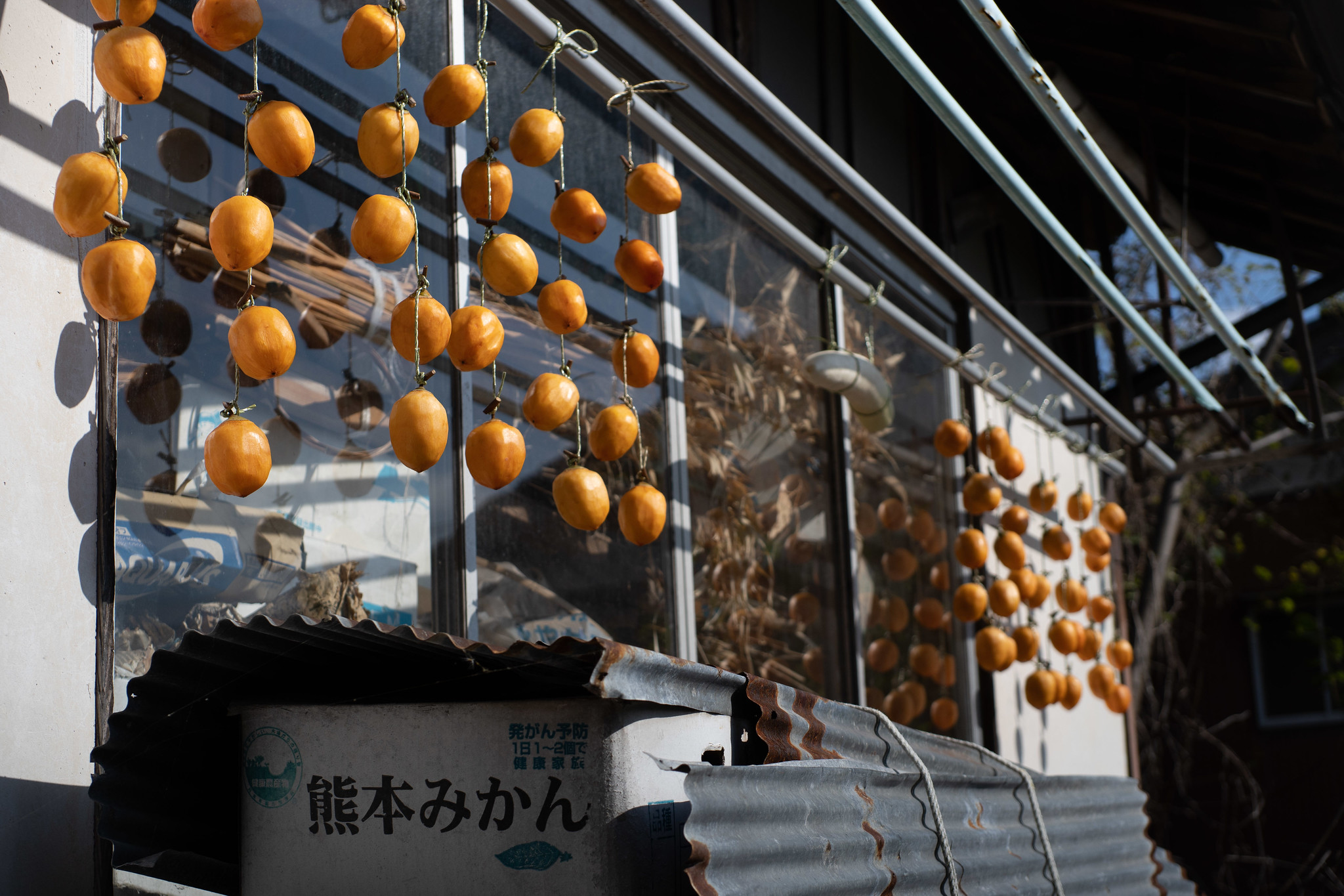柿