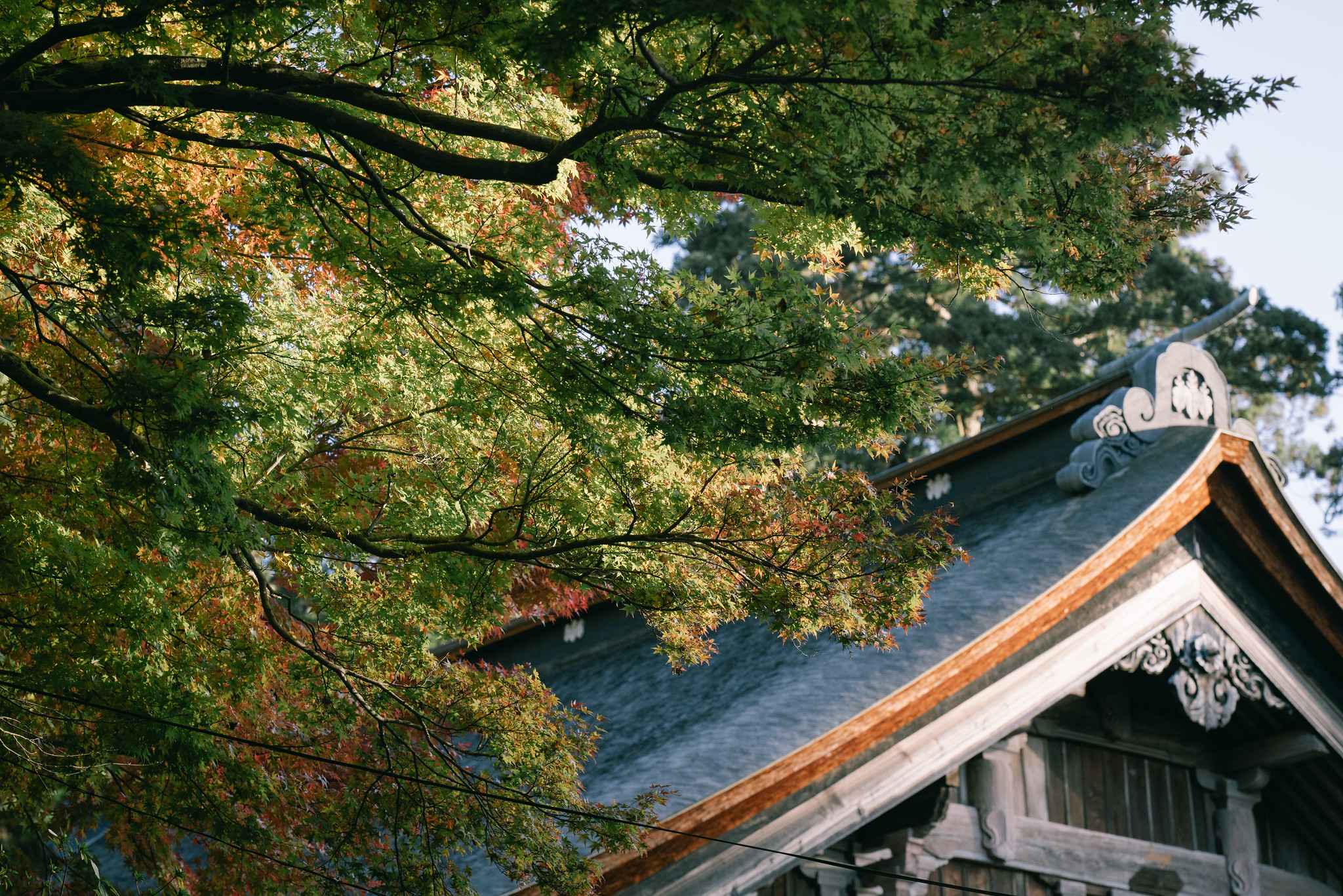 寺