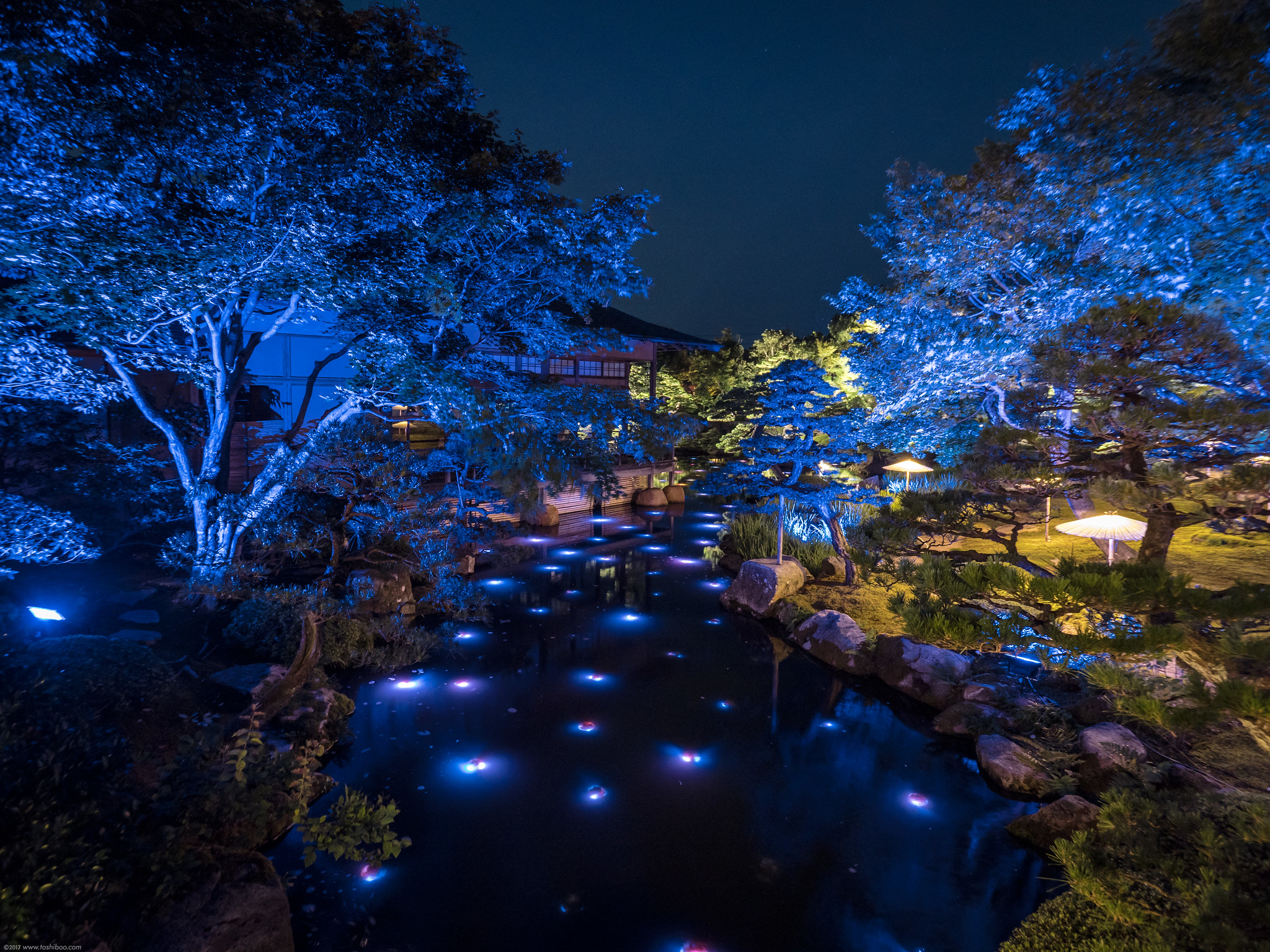 島根で一番ファンタジックな日本庭園 由志園サマーイルミネーション Toshiboo S Camera