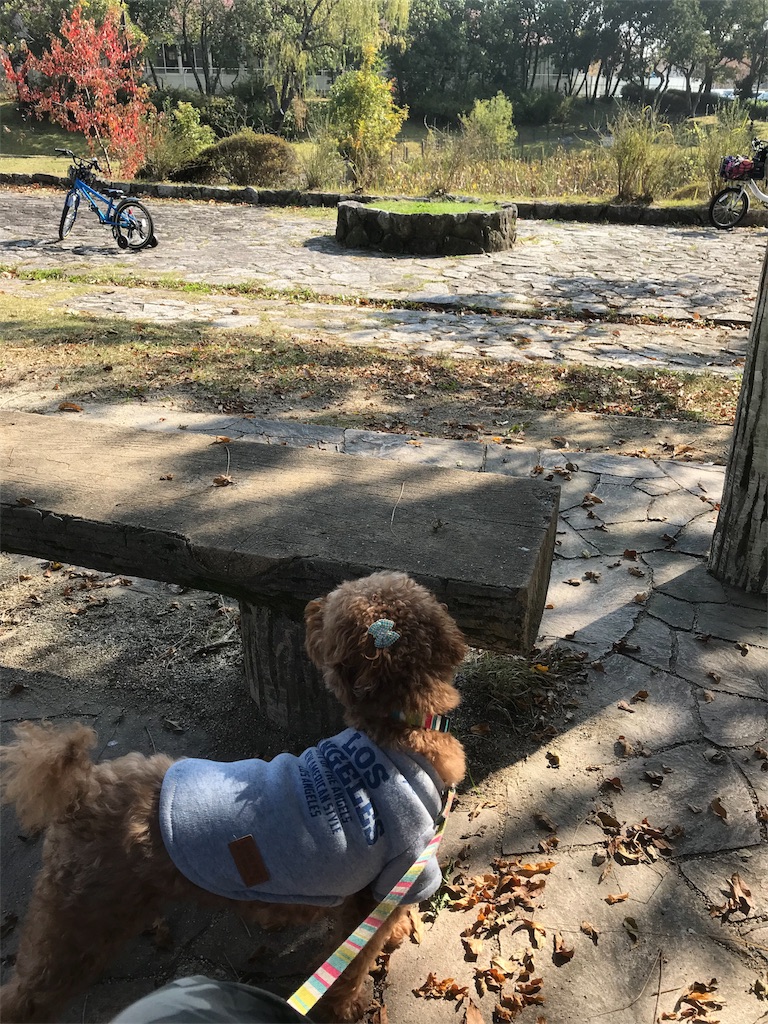 犬と旅行で人気スポット特集 ペット同伴で宿泊できる人気の場所は Toshicoco S Diary 犬と旅行で人気スポット特集 ペット同伴で宿泊できる人気の場所は Toshicoco S Diary
