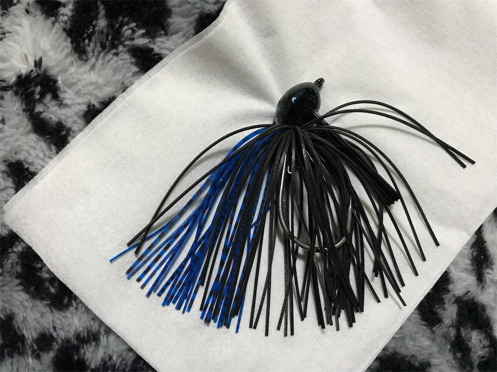 バス釣り冬の野池実践 ラバージグで釣果は上がったのか Toshicoco S Diary バス釣り冬の野池実践 ラバージグで釣果は上がったのか Toshicoco S Diary