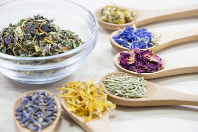 犬用の虫除けは手作りできる ハーブやアロマを使って作ってみよう Toshicoco S Diary