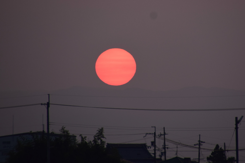 京都新聞写真コンテスト　真っ赤に燃ゆる