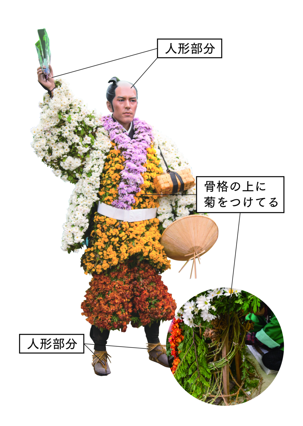 菊人形と菊の祭典 二本松の菊人形 自由研究 不思議発見体験レポート 菊人形と菊の祭典 二本松の菊人形 自由研究 不思議発見体験レポート