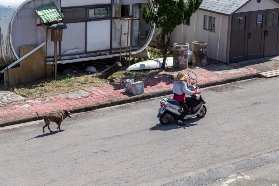 原動付きバイクで犬の散歩をする近隣住人