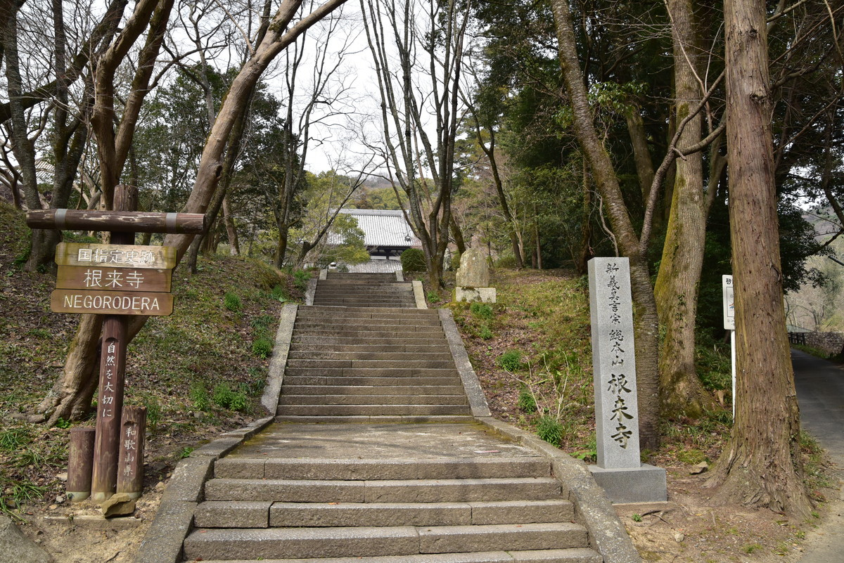 織田信長を狙撃したスナイパーと根来寺 - こばるとライダー日記