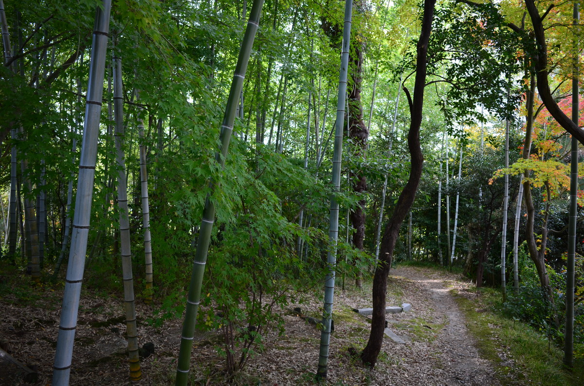 f:id:toshihiko-w:20191117200253j:plain