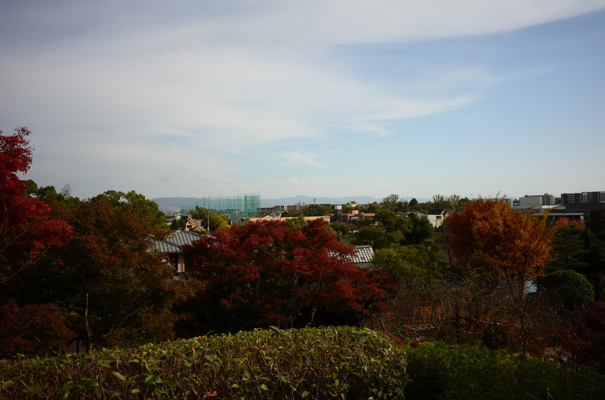 f:id:toshihiko-w:20191117200311j:plain