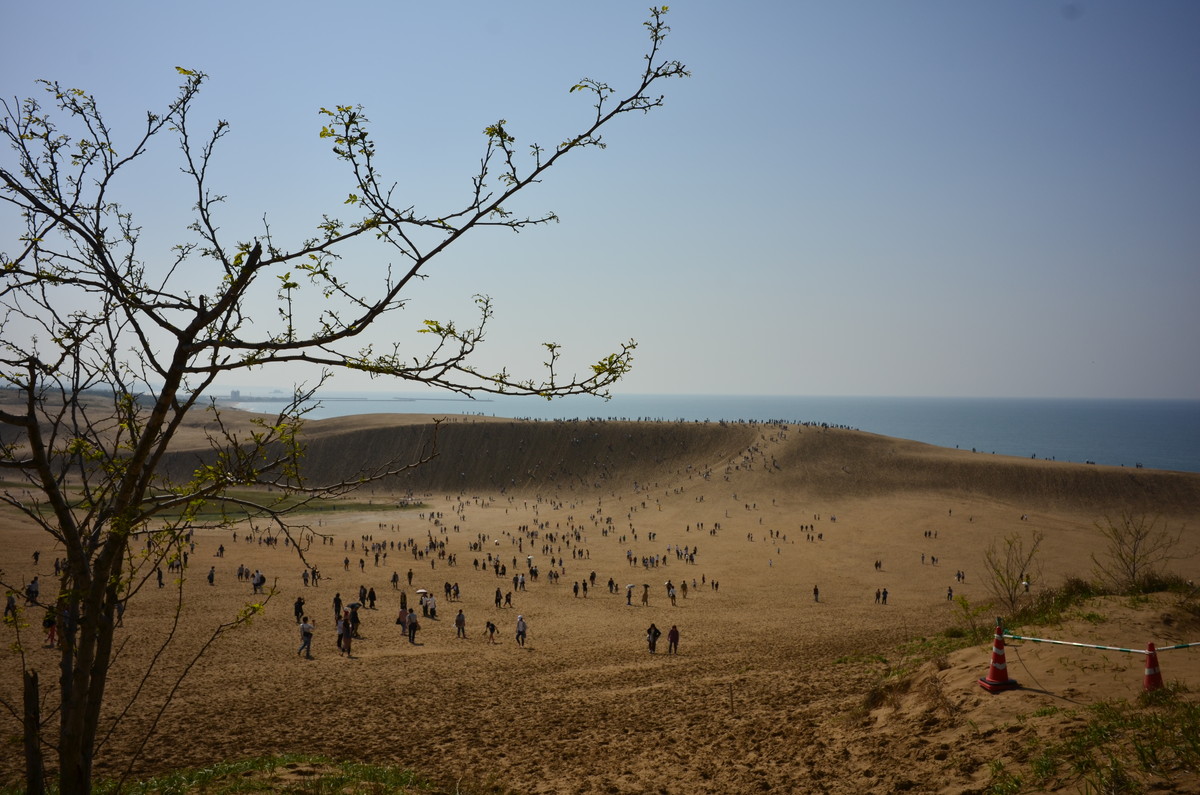 f:id:toshihiko-w:20200924205620j:plain