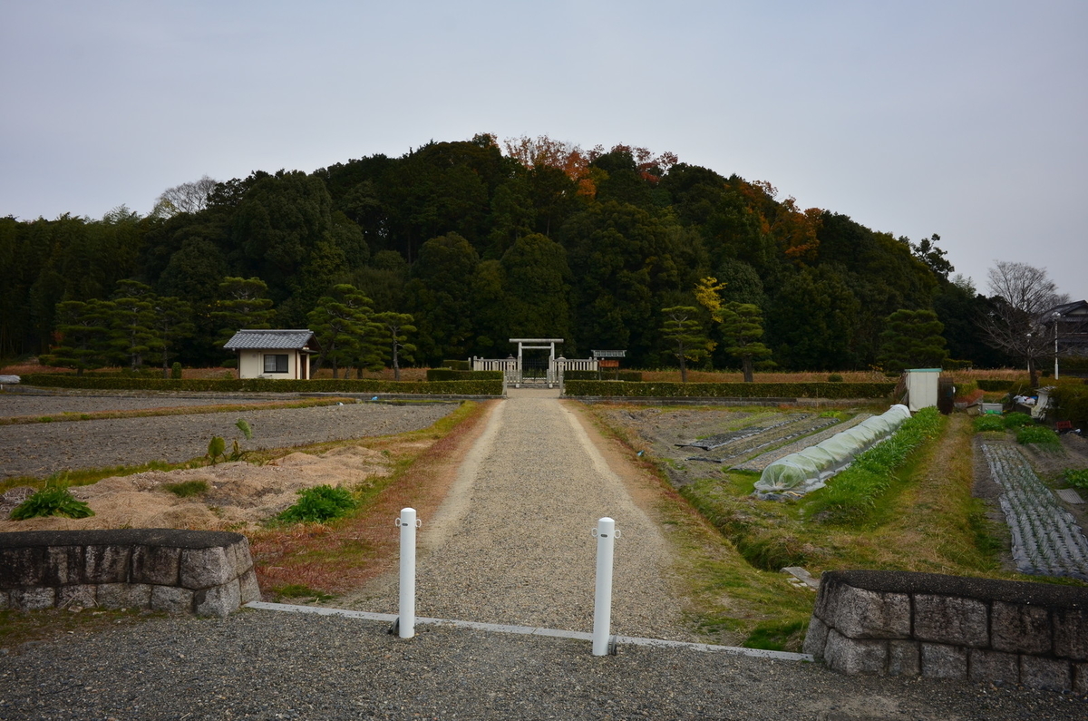 高野山第408世座主沙門大僧正竹内崇峯作六字名号尺五幅太巻桐箱付長さ200幅60 第四十六・四十八代：孝謙・称徳天皇（こうけん・しょうとくてん