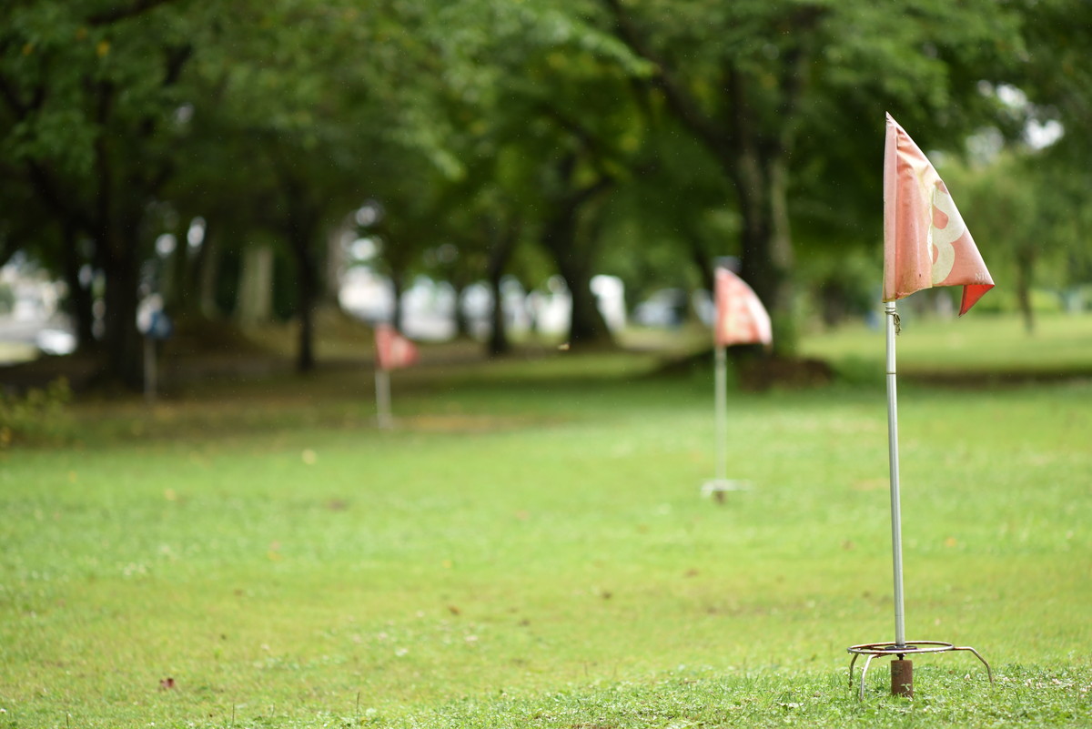 f:id:toshihiko-w:20210619210720j:plain