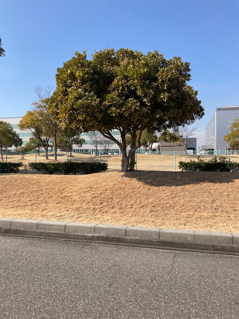 f:id:toshihsto145:20260209225632j:image f:id:toshihsto145:20260209225632j:image