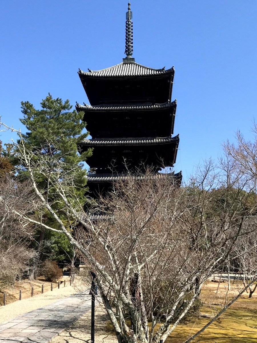 真言宗御室派 総本山 仁和寺②／桜の名所・五重塔【世界遺産】 - とし