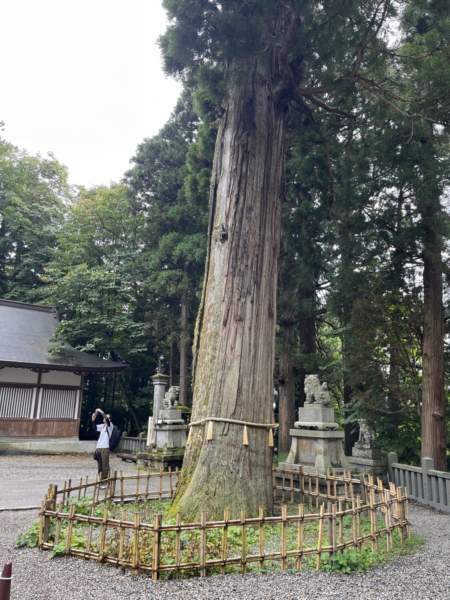 戸隠神社 中社/スピリチュアルなパワーが強い - とし旅-シニア旅人- もっとシニアライフを楽しもう!