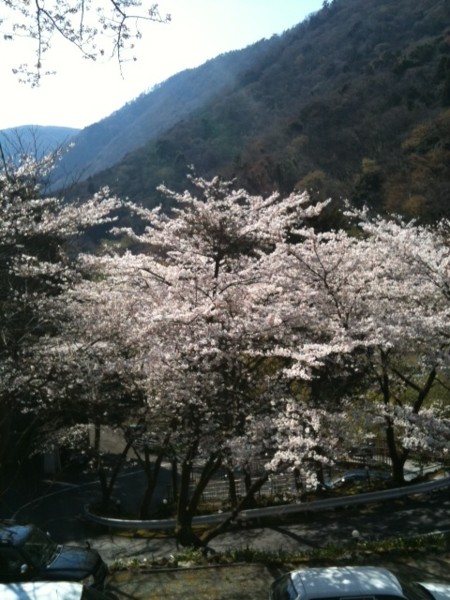 f:id:toshii2008:20110406144548j:image f:id:toshii2008:20110406144548j:image