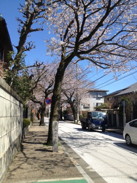 f:id:toshii2008:20140331131408j:image f:id:toshii2008:20140331131408j:image