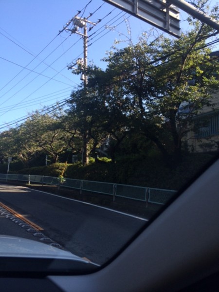 f:id:toshii2008:20140902074049j:image