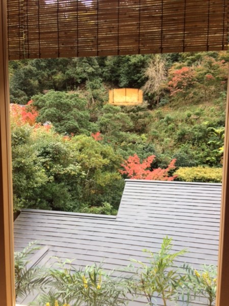 f:id:toshii2008:20161116141754j:image f:id:toshii2008:20161116141754j:image