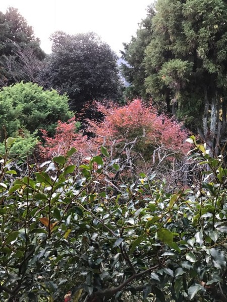 f:id:toshii2008:20161205155832j:image