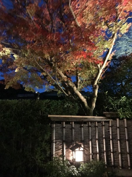 f:id:toshii2008:20171116172832j:image f:id:toshii2008:20171116172832j:image