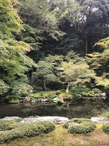 f:id:toshii2008:20181029141711j:image