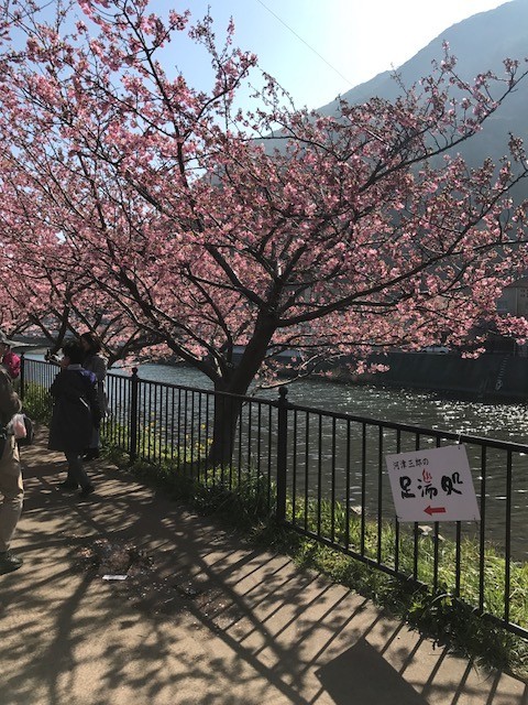 f:id:toshii2008:20190220131949j:plain f:id:toshii2008:20190220131949j:plain