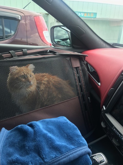 f:id:toshii2008:20190502140558j:plain f:id:toshii2008:20190502140558j:plain