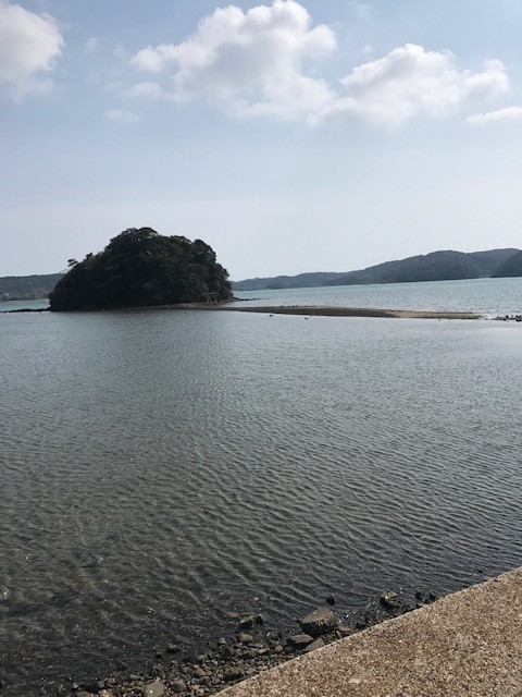 f:id:toshii2008:20200318140618j:plain f:id:toshii2008:20200318140618j:plain