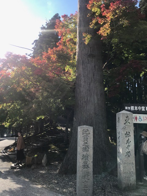 f:id:toshii2008:20201026141621j:plain f:id:toshii2008:20201026141621j:plain