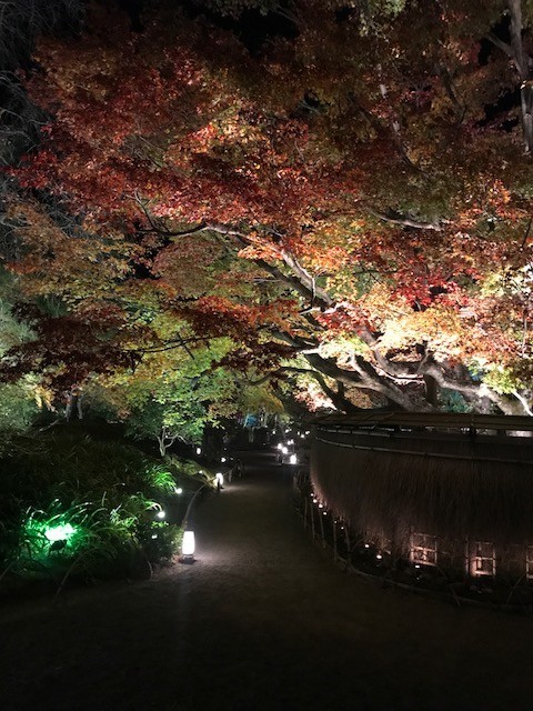 f:id:toshii2008:20201117200609j:plain