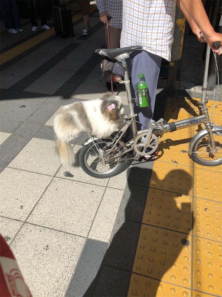 f:id:toshikamaru:20181113144103j:image f:id:toshikamaru:20181113144103j:image