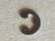 f:id:toshikane:20160825210705j:image