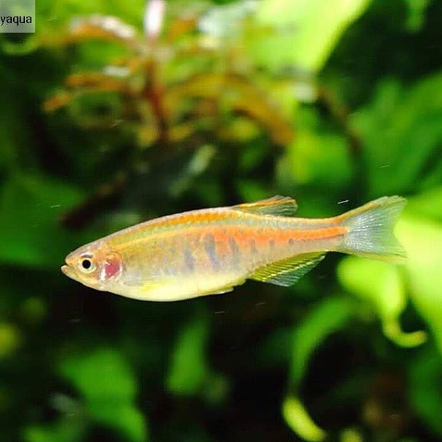 f:id:toshiki0814:20190908170422j:plain