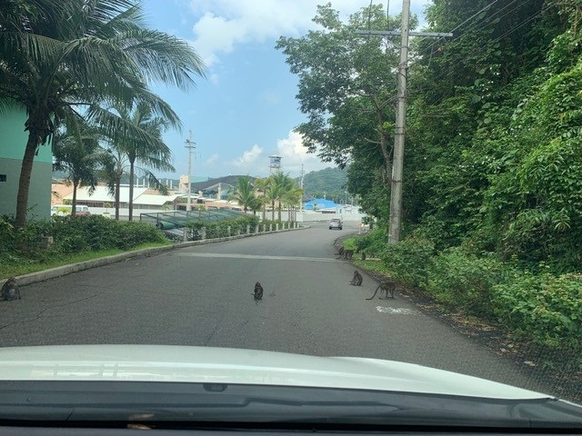 f:id:toshiki1207:20190826221734j:plain
