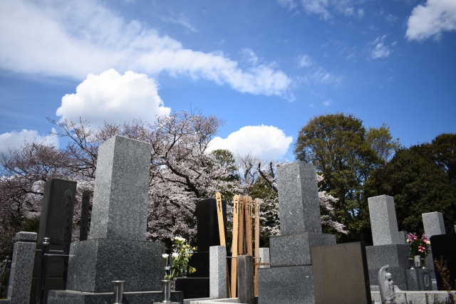 f:id:toshikoro:20190502165626j:plain f:id:toshikoro:20190502165626j:plain