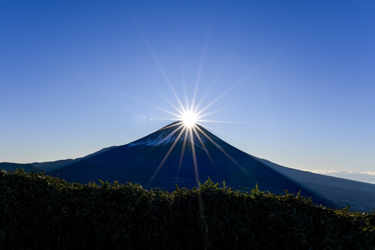 f:id:toshimai:20200827051613j:plain f:id:toshimai:20200827051613j:plain
