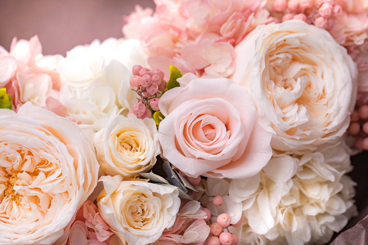 f:id:toshimai:20200828064648j:plain f:id:toshimai:20200828064648j:plain
