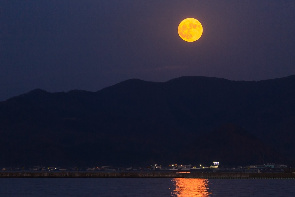 f:id:toshimai:20200829062012j:plain f:id:toshimai:20200829062012j:plain