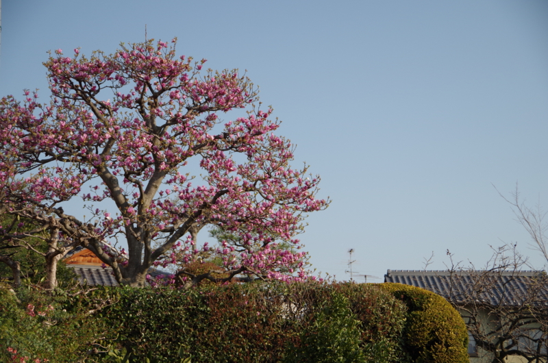 20140407071501