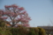 20140407071501